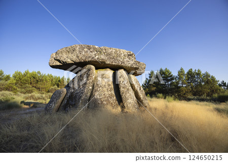Dolmen Anta de Fonte Coberta near Alijo, Vila Cha, Portugal 124650215