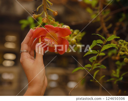 Woman Exploring Colorful Streets Near Buddhist Temples in Bangkok 124650306