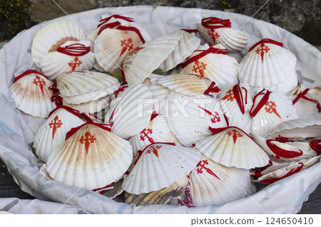 the symbol of the Way of St. James, the shell of St. Jacob 124650410