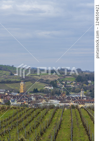 Vineyards with Arbois town, Department Jura, Franche-Comte, France 124650421