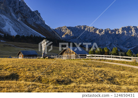 Typical landscape near San Martin de Tor, Dolomiti, South Tyrol, Italy 124650431