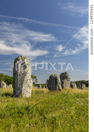 Standing stones (or menhirs) in Carnac, Morbihan, Brittany, France Standing stones (or menhirs) in Carnac, Morbihan, Brittany, France 124650441