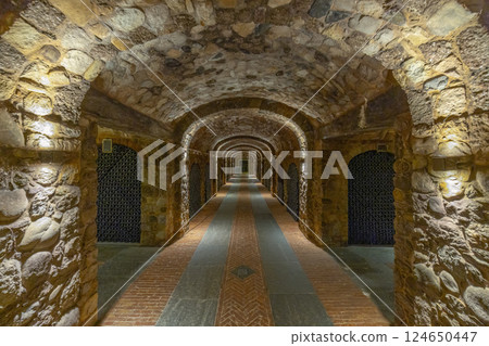 Stored wine bottles, wine cella, Canale, Piedmont, Italy Stored wine bottles, wine cella, Canale, Piedmont, Italy 124650447