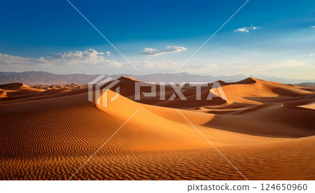 遼闊的沙漠和藍天的美麗風景3 124650960