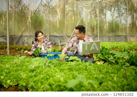 Smiling male and female farmers working together in a greenhouse, using a laptop to monitor crop data 124651102