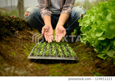 Close up of farmer kneeling in a greenhouse with a seedling tray 124651221