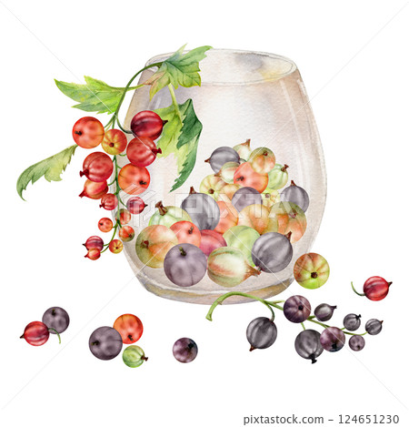 Currant gooseberry clusters leaves in glass, hand drawn in watercolor, ripe picked garden berry harvest, casseille jostaberry. Isolated illustration. Food blogs, cookbook, dessert menu, farmers market 124651230