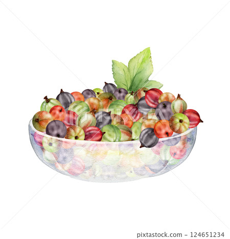 Currant gooseberry leaves in glass bowl, hand drawn in watercolor, ripe picked garden berry harvest, casseille jostaberry. Isolated illustration. Food blogs, cookbook, dessert menu, farmers market 124651234