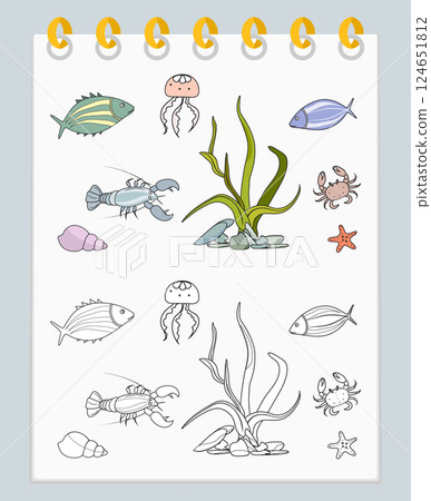 Coloring book Underwater Seabed Ocean Sea habitat 124651812