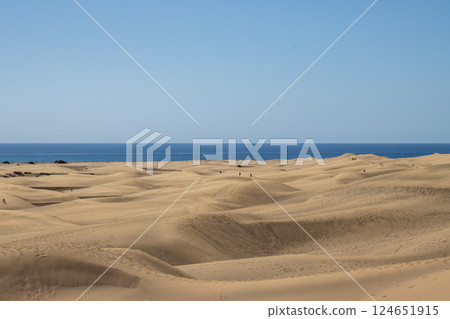 Sand dunes and Atlantic ocean, Gran Canaria, Spain Sand dunes and Atlantic ocean, Gran Canaria, Spain 124651915