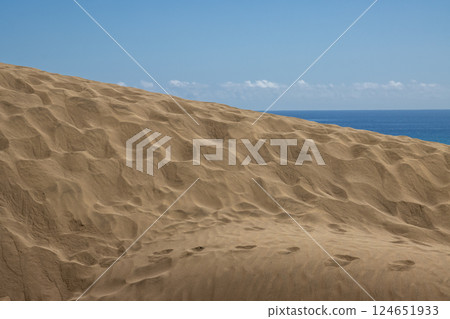 Sand dunes and Atlantic ocean, Gran Canaria, Spain Sand dunes and Atlantic ocean, Gran Canaria, Spain 124651933