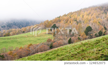 Yatsugatake Ranch in Autumn, Hokuto City, Yamanashi Prefecture Yatsugatake Ranch in Autumn, Hokuto City, Yamanashi Prefecture 124652073