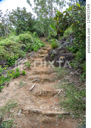 Natural hiking trail on Seychelles island surrounded by dense tropical vegetation 124652549