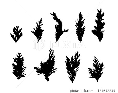 Cypress Twigs Icon, Cupressus Leaf Symbol, Arborvitae Twig, Thuya Sprig Silhouette, Thuja Leaves 124652835