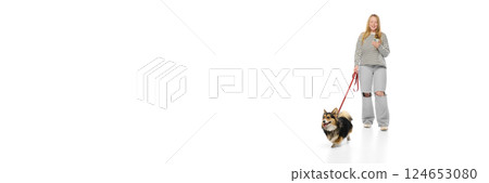 Banner. Dynamic photo of Corgi walking on leash next to woman using phone against white background. Concept of dog walking 124653080