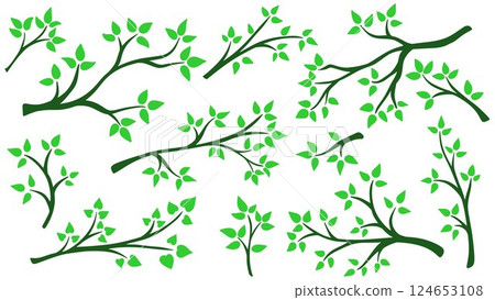 Tree branch with young green leaves set Tree branch with young green leaves set 124653108