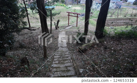 從主神社俯瞰鳥居門 124653319