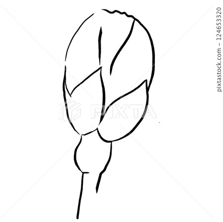Hand drawn rose flower bud black outlines silhouette, Sakura wedding isolated illustration 124653320