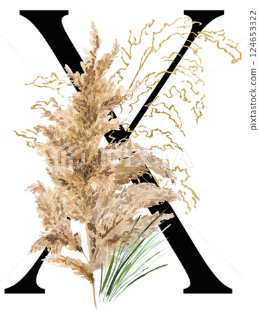Black letter X with watercolor biege and golden dried pampas grass, tropical wedding illustration 124653322