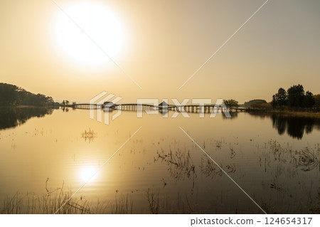 「青森縣」鶴之舞橋、早晨的風景、鶴田町 124654317