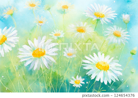 Chamomile *Spring flower background material 124654376