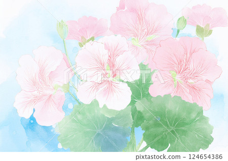 Geranium *Spring flower background material 124654386
