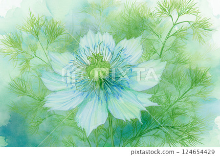 Nigella *Spring flower background material 124654429