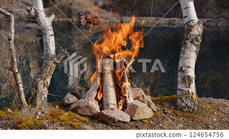 Beautiful Crackling Campfire among Birch Trees by the Lake , Sunrise 124654756