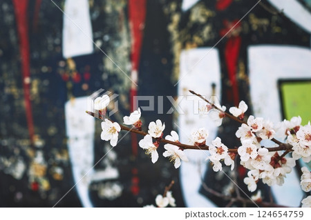 Urban Street Art with Blossom Branch in Foreground for 2000s Aesthetic 124654759