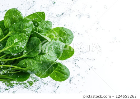 Fresh spinach leaves with water splash isolated on white background 124655262