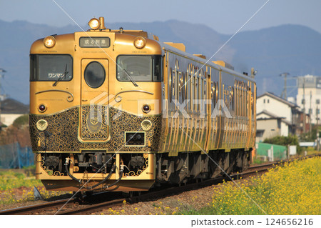 "A Certain Train" on the Kyudai Main Line in Spring (JR Kyushu) 124656216