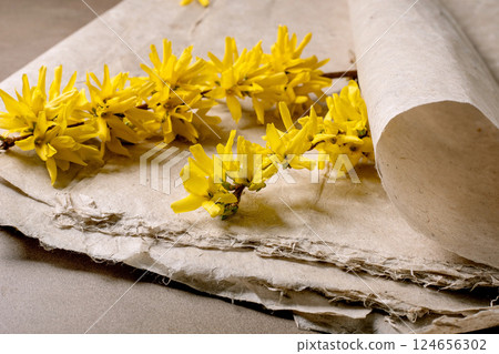 Yellow Forsythia Flowers On Vintage Paper Yellow Forsythia Flowers On Vintage Paper 124656302