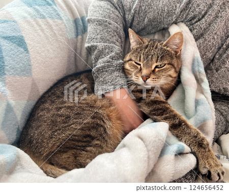 Calm and content tabby cat lying in cozy embrace within soft blanket. The cat appears relaxed and at ease, nestled in the arms of person, pet love and care Calm and content tabby cat lying in cozy embrace within soft blanket. The cat appears relaxed and at ease, nestled in the arms of person, pet love and care 124656452