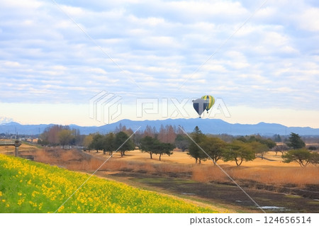 Rape blossoms blooming on the banks of the Watarase Reservoir 124656514