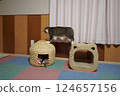 Cat Bridge 124657156