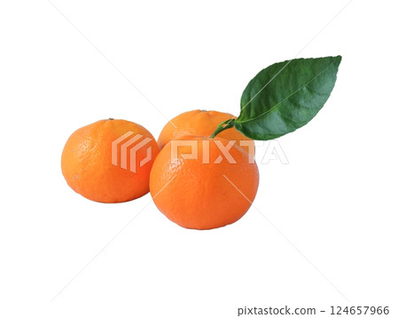Fresh Oranges fruit with leaves on the white background. 124657966