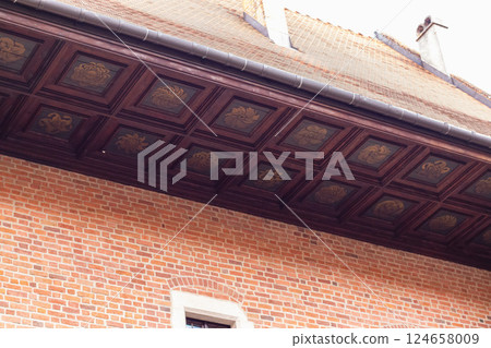 Collegium Maius Ceiling and Brick Wall, Krakow 124658009