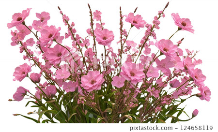 Pink blooming flowers isolated on a transparent background beautifully detailed 3D rendering perfect for floral designs digital art and creative projects available in high-quality PNG format 124658119