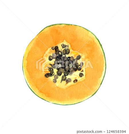 Round papaya slice with seeds watercolor textured illustration isolated on white. The hand-painted tropical fruit clip art is perfect for culinary designs, labels, prints, cards, packages and menu 124658394