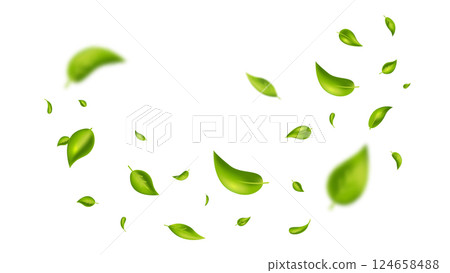 Green flying leaves on long white banner. Leaf falling. Wave foliage ornament. Vegan, eco, organic design element. Cosmetic pattern border. Fresh tea background. Beauty product. Vector illustration 124658488