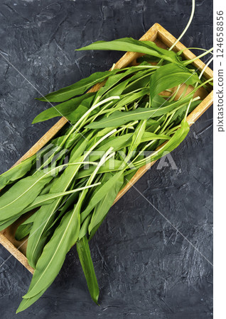 Fresh wild ramps or leeks. Fresh wild ramps or leeks. 124658856