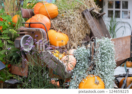 Traditional park decoration for Halloween with pumpkins in autumn 124659225