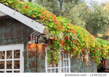 A small house with flowers on the roof 124659226