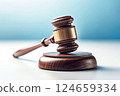 Courtroom Concept: Wooden Judge's Gavel on Blurred Light Background 124659334