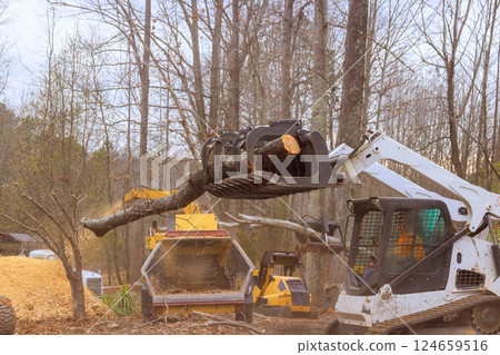 Skid steer loader lifts large tree branches surrounded by other equipment in clearing during deforestation 124659516