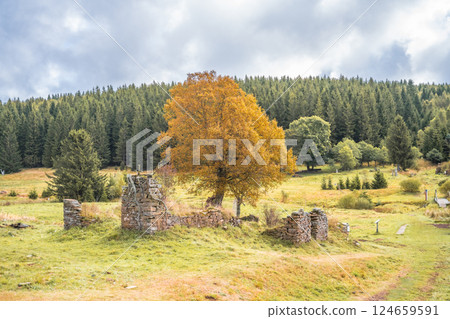 The remains of Konigsmuhle settlement sit quietly in the Ore Mountains of Czechia, surrounded by vibrant trees and lush greenery under a cloudy sky, conveying a sense of history and tranquility. 124659591