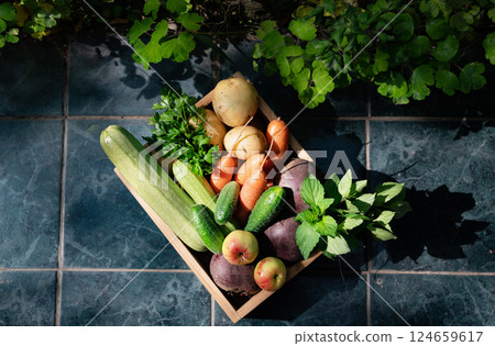 Freshly collected vegetables and fruits in a wooden basket arranged on a tiled floor in natural light 124659617
