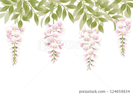 Wisteria flower illustration frame 2 Wisteria flower illustration frame 2 124659834