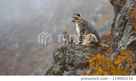 A snow leopard and her cub sit perched on a rocky ledge, overlooking a misty mountain landscape 124660216