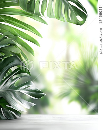 Close up of lush green monstera leaves against a blurred background, offering ample copy space for text or design elements Close up of lush green monstera leaves against a blurred background, offering ample copy space for text or design elements 124660314